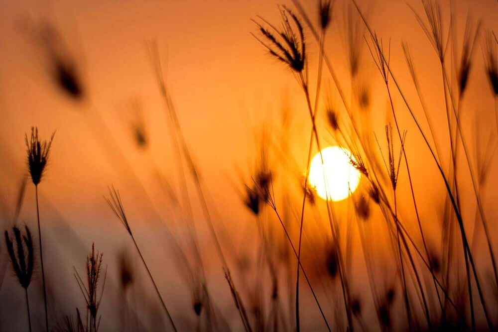 Zonnepanelen laten plaatsen